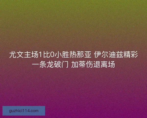 尤文主场1比0小胜热那亚 伊尔迪兹精彩一条龙破门 加蒂伤退离场
