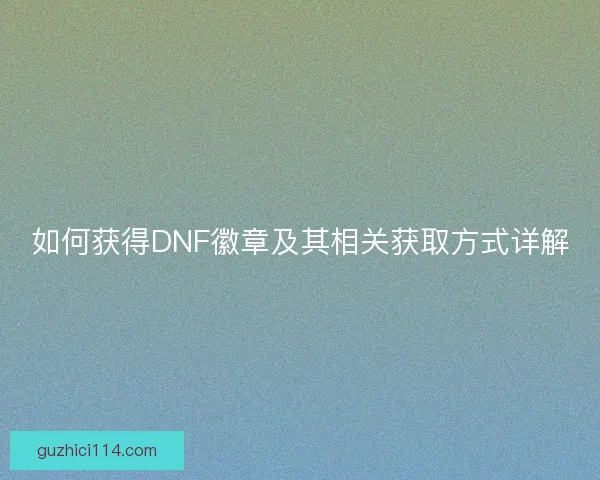 如何获得DNF徽章及其相关获取方式详解