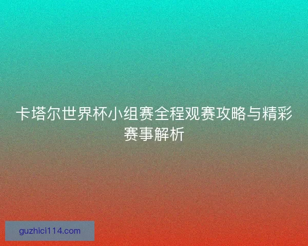 卡塔尔世界杯小组赛全程观赛攻略与精彩赛事解析 卡塔尔世界杯小组赛全程观赛攻略与精彩赛事解析