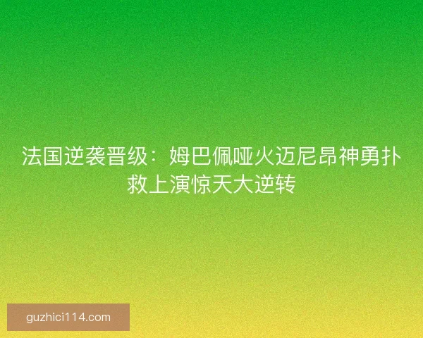 法国逆袭晋级：姆巴佩哑火迈尼昂神勇扑救上演惊天大逆转