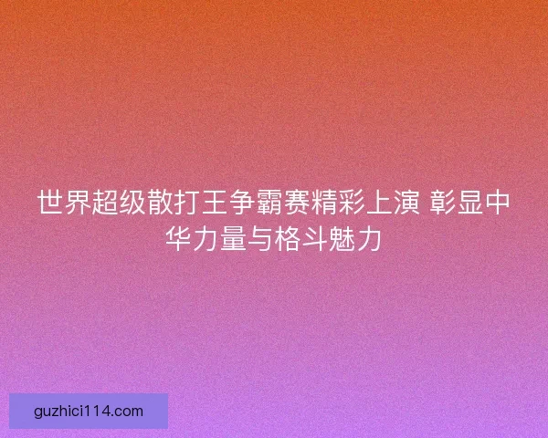 世界超级散打王争霸赛精彩上演 彰显中华力量与格斗魅力