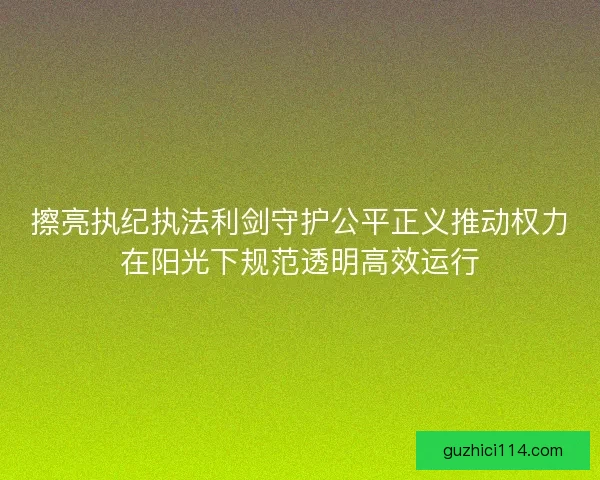擦亮执纪执法利剑守护公平正义推动权力在阳光下规范透明高效运行