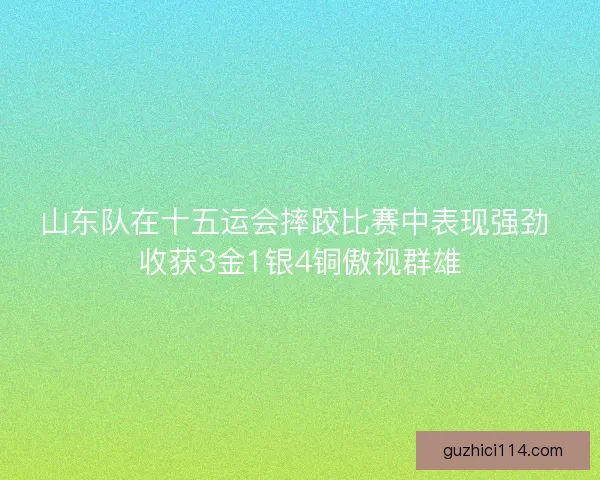 山东队在十五运会摔跤比赛中表现强劲 收获3金1银4铜傲视群雄