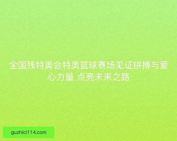 全国残特奥会特奥篮球赛场见证拼搏与爱心力量 点亮未来之路