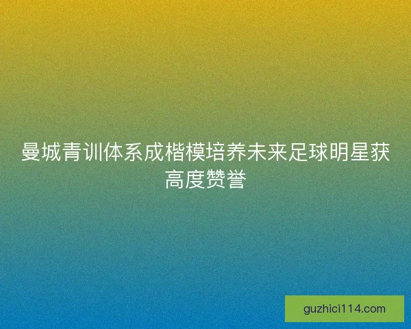 曼城青训体系成楷模培养未来足球明星获高度赞誉